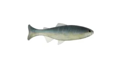 Anglers King Sugar Shaker Trout