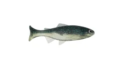 Anglers King Sugar Shaker Trout