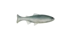 Anglers King Sugar Shaker Trout