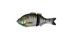 Baitsanity Explorer Gill Glide Bait 6