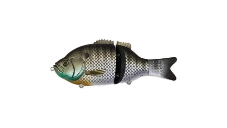 Baitsanity Explorer Gill Glide Bait 6