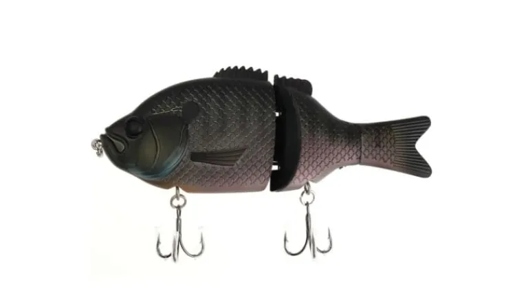 Baitsanity Explorer Gill Glide Bait 6