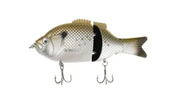 Baitsanity Explorer Gill Glide Bait 6