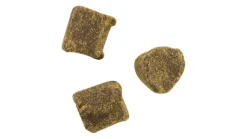 Berkley Catfish Bait