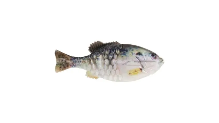 Berkley PowerBait Gilly