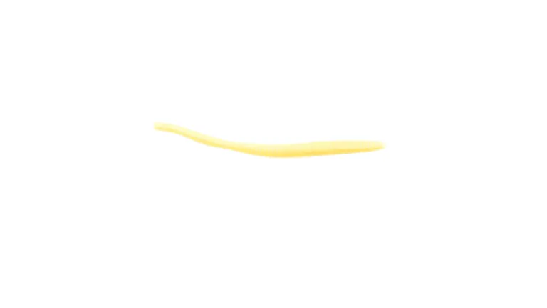 Berkley Power Floating Trout Worm