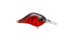 Bill Lewis MR-6 Crankbait