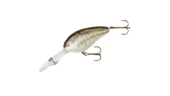 Bill Norman DD22 Crankbait