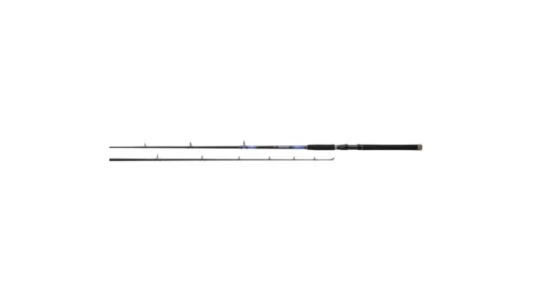 Daiwa Beefstick Conventional Rods