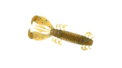 Deps MS Craw