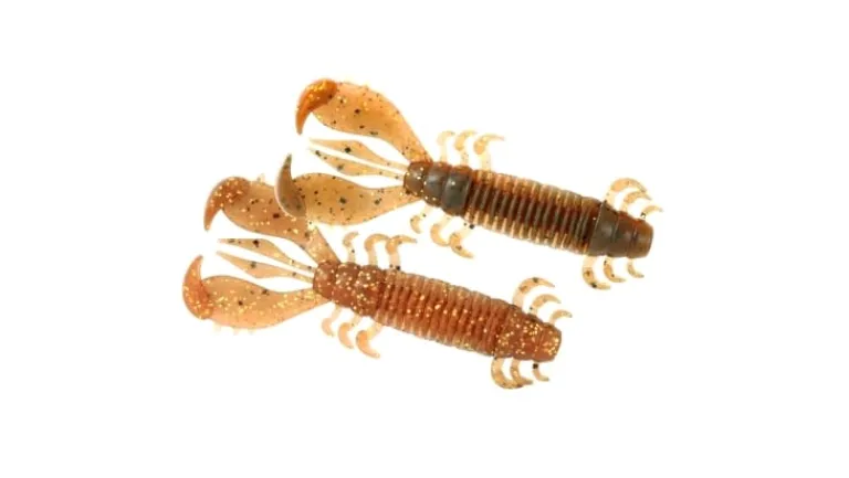 Deps MS Craw