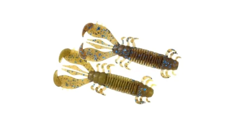 Deps MS Craw