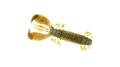 Deps MS Craw