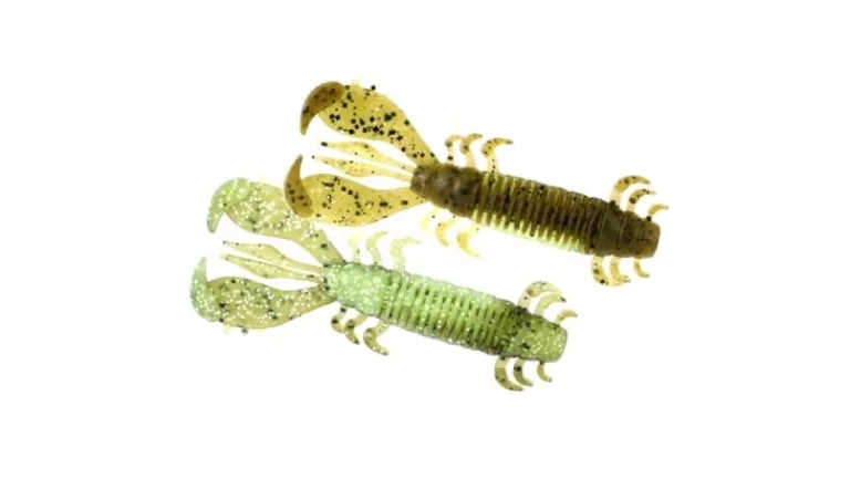 Deps MS Craw