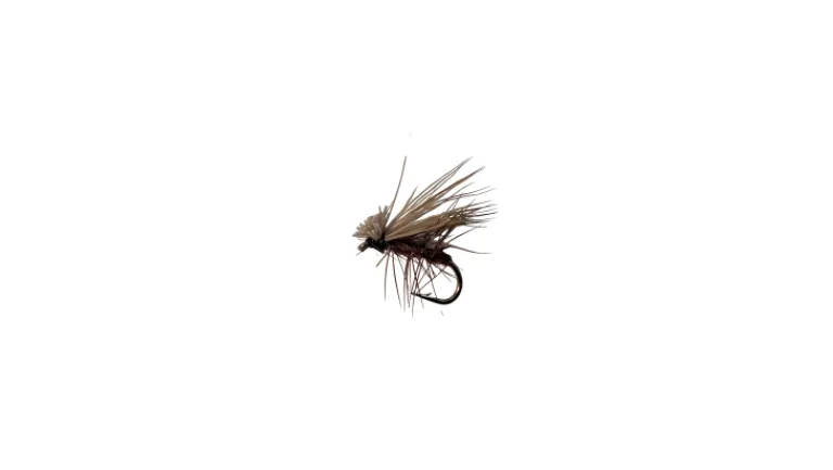 Dry Creek Fly Dry Fly