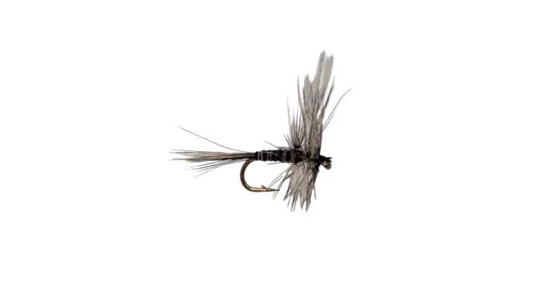 Dry Creek Fly Dry Fly