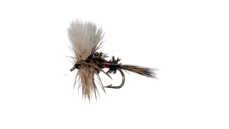 Dry Creek Fly Dry Fly