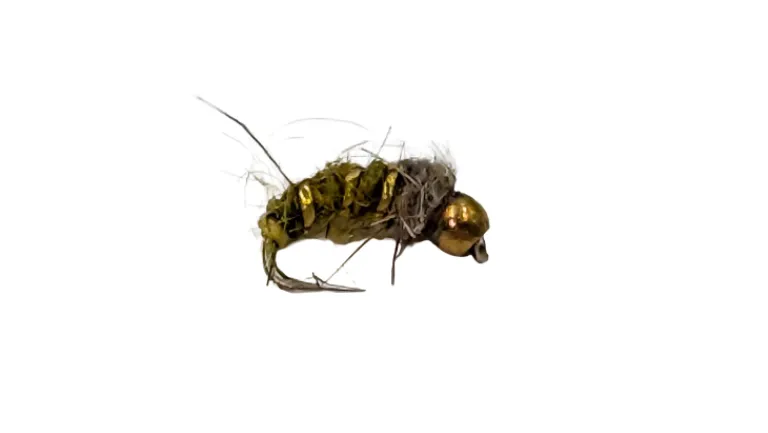 Dry Creek Fly Nymph