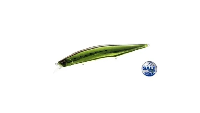 Duo Realis Jerkbait 160S SW