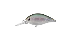 Evergreen CR-8 Crankbaits