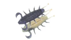 Geecrack Bugpee