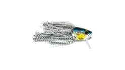 G-Ratt Fighting Fish