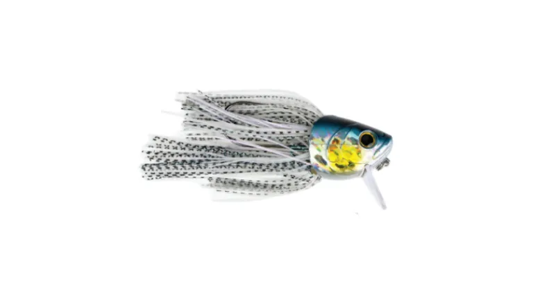 G-Ratt Fighting Fish