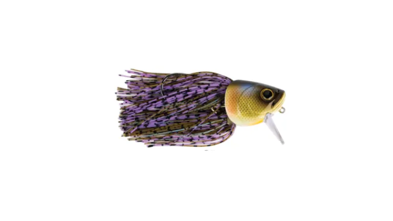 G-Ratt Fighting Fish