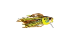G-Ratt Fighting Fish