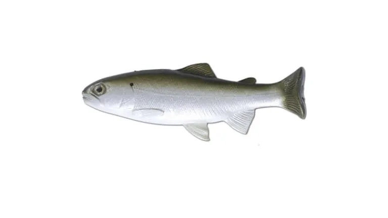 Huddleston Deluxe 6" Trout