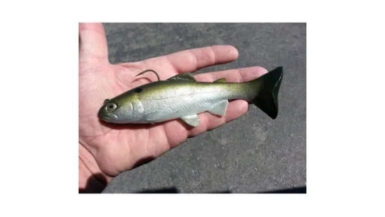 Huddleston 68 Special Swimbait