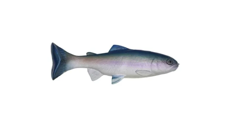 Huddleston 68 Special Swimbait