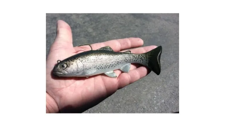 Huddleston 68 Special Swimbait