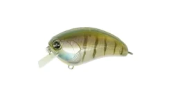 Ima Square Bill Crankbait