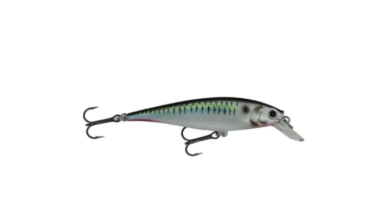 Lucky Craft Pointer 100