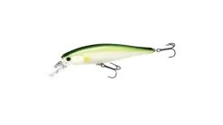 Lucky Craft Pointer 100