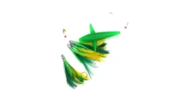 Magbay Daisy Chain Tuna Teaser