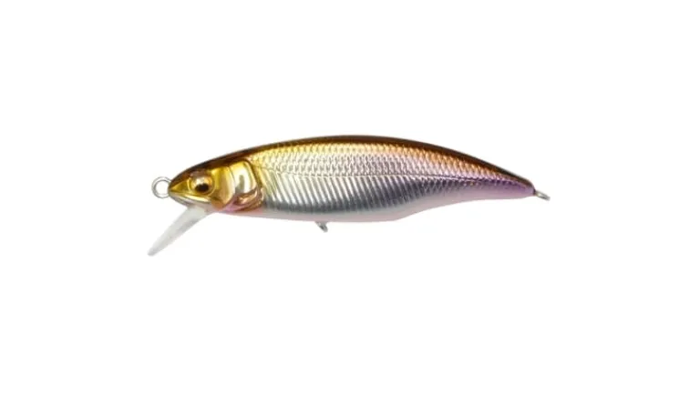 Megabass GH50 Flatside