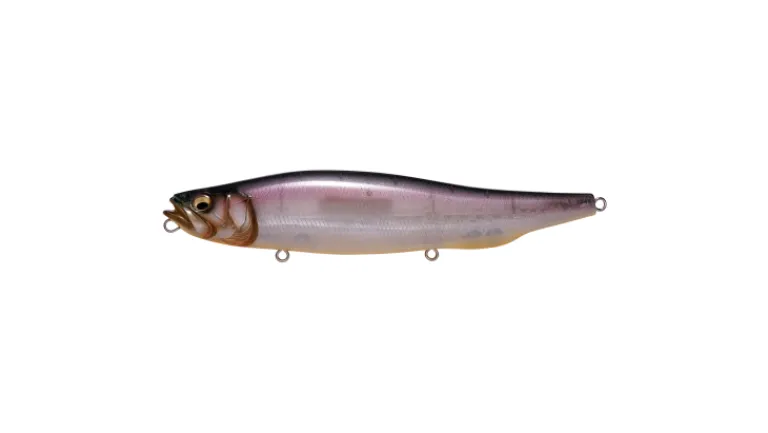 Megabass Megadog