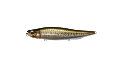Megabass Megadog