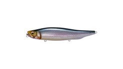 Megabass Megadog