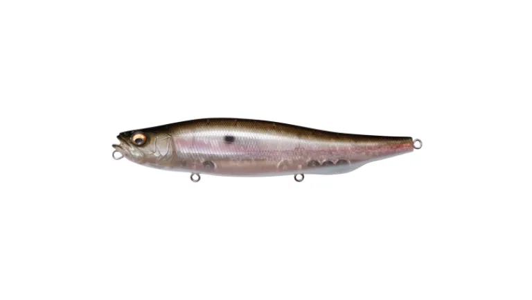 Megabass Megadog