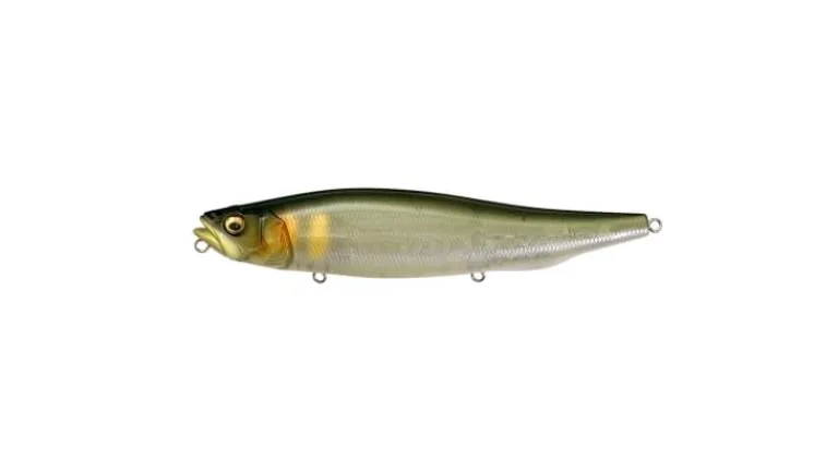 Megabass Megadog-X