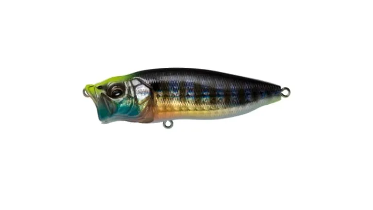 Megabass PopMax