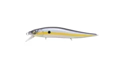 Megabass Vision Oneten Jr.
