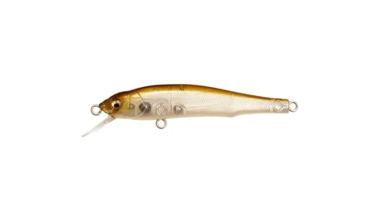 Megabass X-70 (BFS)