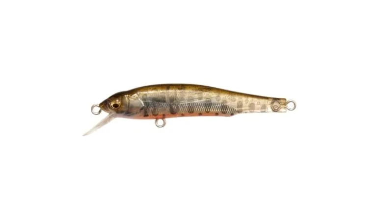 Megabass X-70 (BFS)