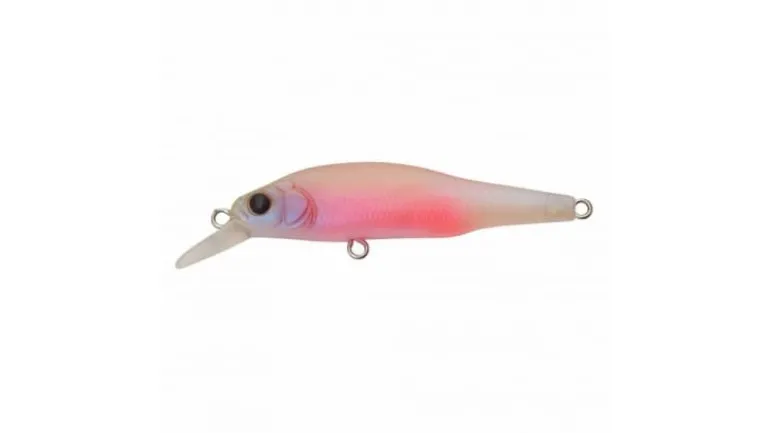 Megabass X-80 Jr. (BFS)