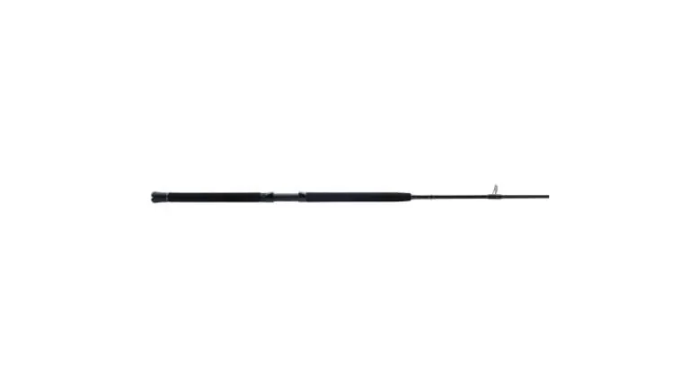 Penn Squadron IV Boat Conventional Rods