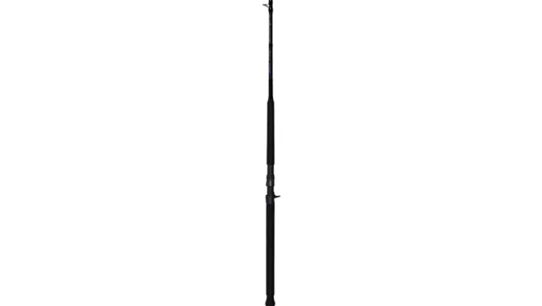 Phenix Black Diamond Hybrid Inshore Rods